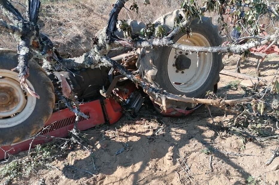 /fotoscm/Fotos/2-40128719 (10851890) (Milenium)