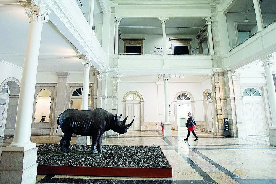 Coleções abarcam, entre outras áreas, a zoologia, etnografia e antropologia