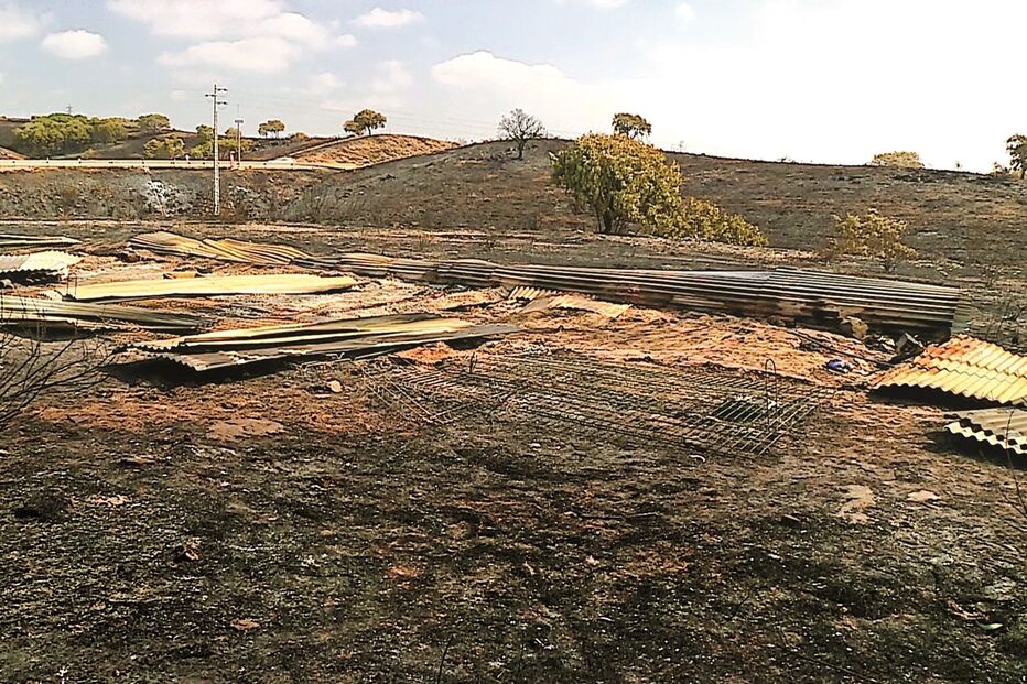 Local onde estava situado o canil ilegal foi completamente devorado pelas chamas 