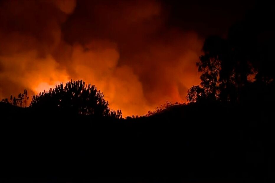 2021-08-19_09_43_10 Mais de 650 operacionais combatem fogo em Odemira e tentam impedir que chegue a Silves.jpg