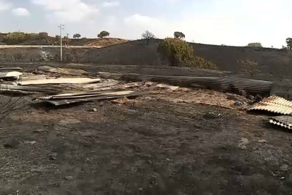 2021-08-19_09_49_18 Os cães estavam todos mortos Associação revela que abrigo ilegal era conhecido.jpg