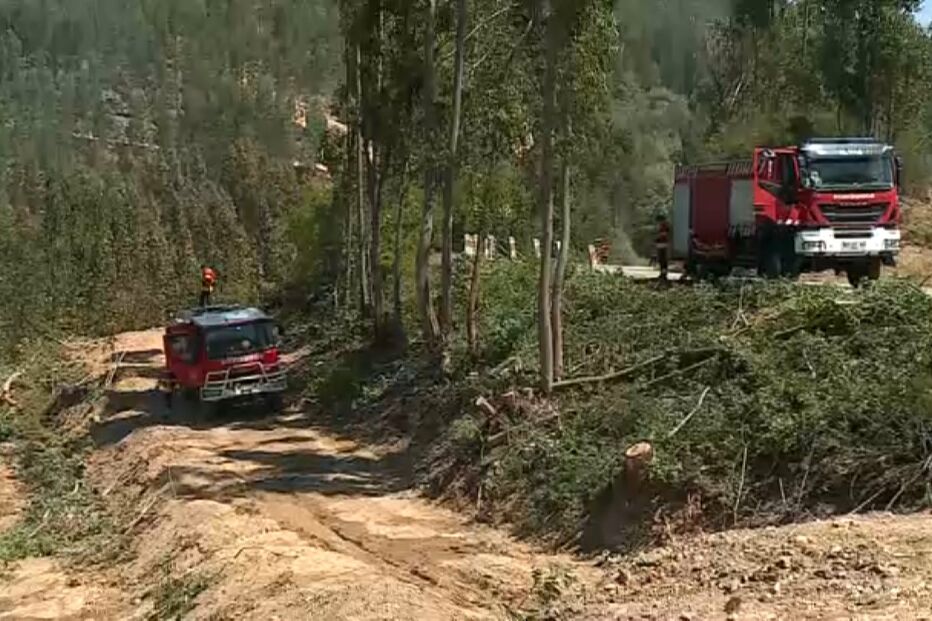 2021-08-19_12_42_19 Incêndio odemira 2 .jpg