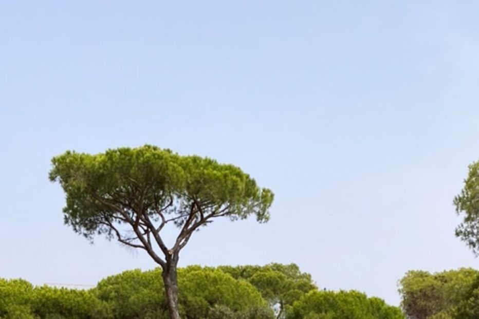 Família de Carolina Carvalho em casa de Tony Carreira