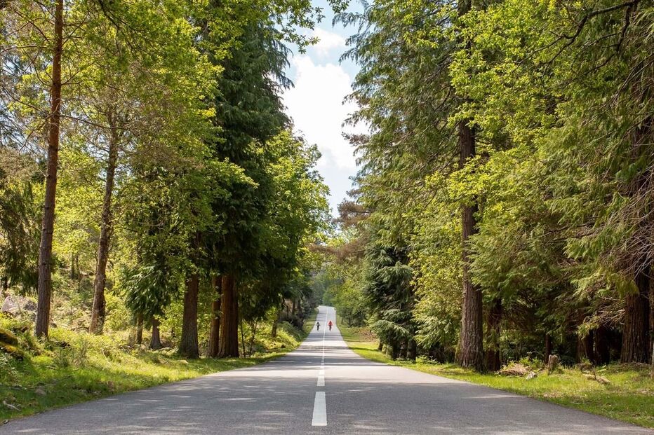 Parte do trilho GR 50 no Parque Nacional Peneda-Gerês.