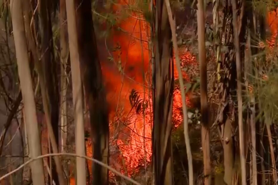 Homem que ateou incêndio em Freamunde traído pela roupa