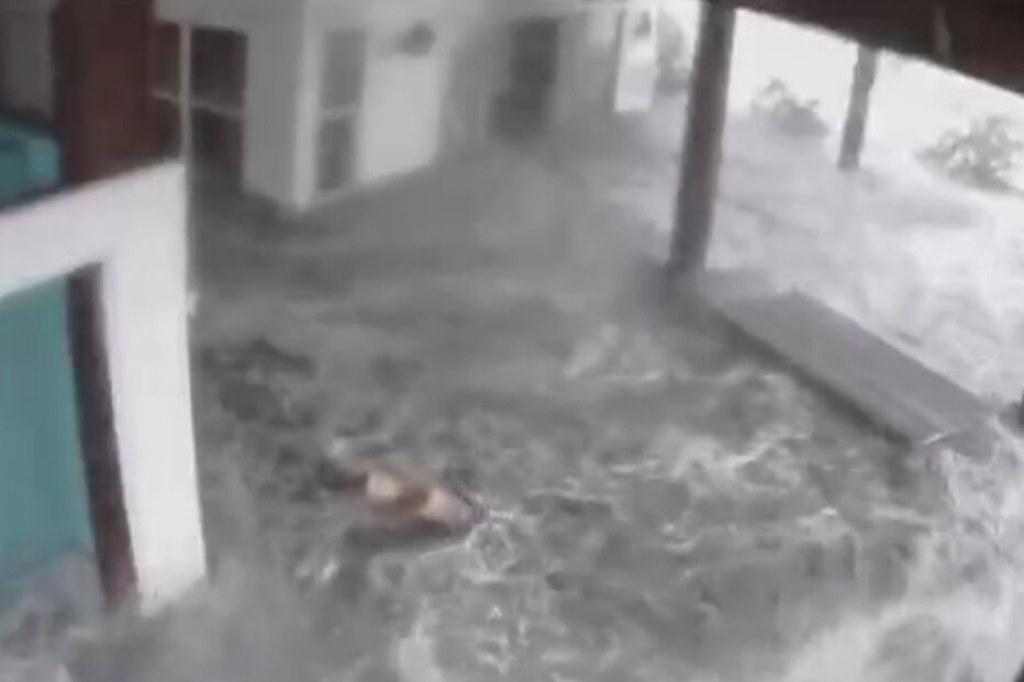 Destruição causada pelo furacão Ida