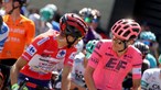 Magnus Cort Nielsen vence 19.ª etapa da Vuelta com Rui Oliveira a ficar em segundo