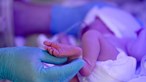 Bebé de oito dias morre em Portalegre por falta de socorro médico