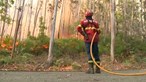 Homem identificado por suspeita de incêndio florestal no concelho de Vila Real