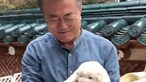 Presidente sul-coreano quer proibir o consumo de carne de cão