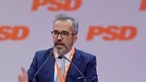 Pinto Luz pede líder do PSD 'mais afirmativo, capaz de unir' e admite que Rangel 'encaixa' no perfil