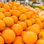 Laranjas roubadas em terras algarvias acabam à venda em mercados paralelos