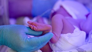 Bebé de oito dias morre em Portalegre por falta de socorro médico