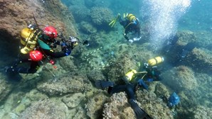 Mergulhadores descobrem tesouro romano escondido no fundo do mar em Espanha