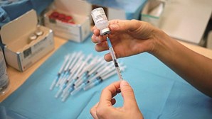 Madeira estima receber em dezembro 7500 doses para vacinar crianças contra a Covid-19