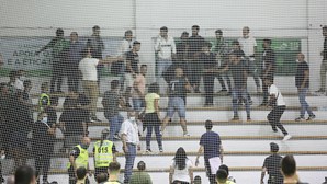 Sporting denuncia agressões a adeptos e staff durante e após jogo de hóquei em patins em Valongo