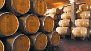 Nas diversas caves da Casa Ermelinda Freitas há centenas de barricas, onde parte do vinho repousa até ter a qualidade desejada pela equipa de enologia para ser engarrafado