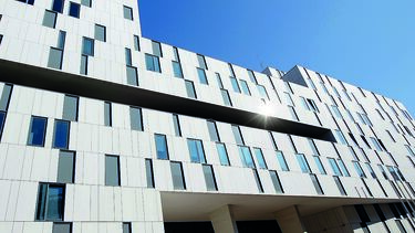 Ex-fisioterapeuta do Sporting arguido por tráfico de anabolizantes na 'Operação Harry Potter'