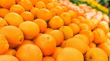 Laranjas roubadas em terras algarvias acabam à venda em mercados paralelos