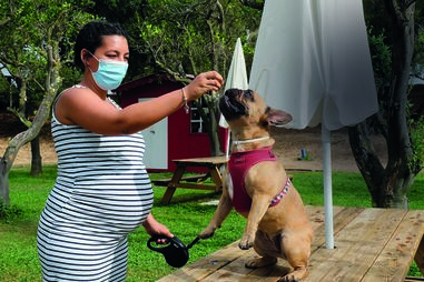 Maggie, um sucesso no Seixal e no Instagram