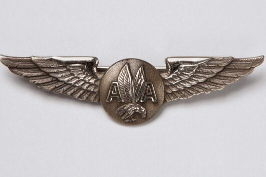 2021-09-10_15_39_09 Lapela com asas.jpg