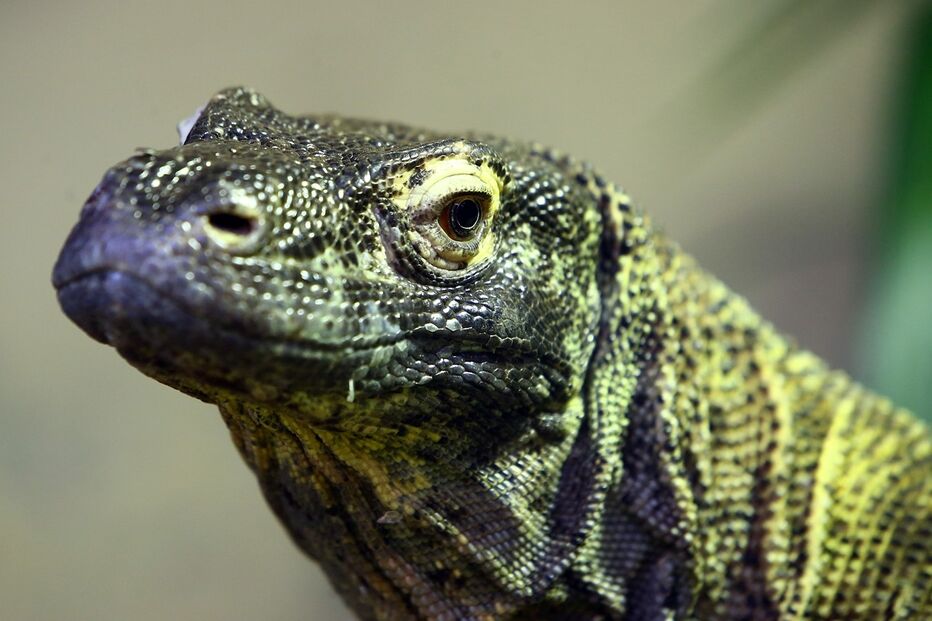 Imagem PEC_0266.JPG (11136207) (Milenium)