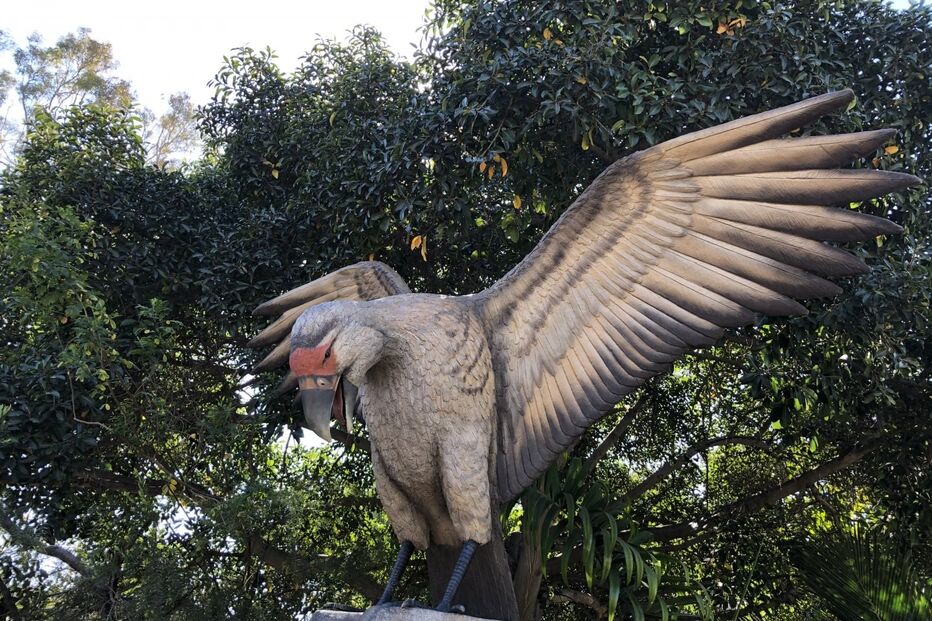 Ave carnívora Teratornis
