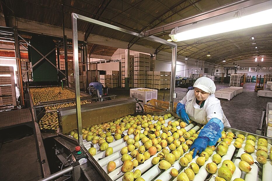 Imagem Abertura nova 32110462.jpg (11140344) (Milenium)