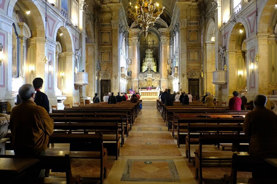 Imagem 3PFR4612.JPG (11140475) (Milenium)