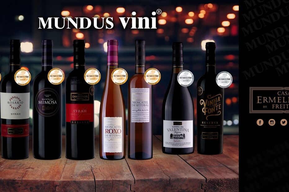 2021-09-08_14_51_15 2.jpg