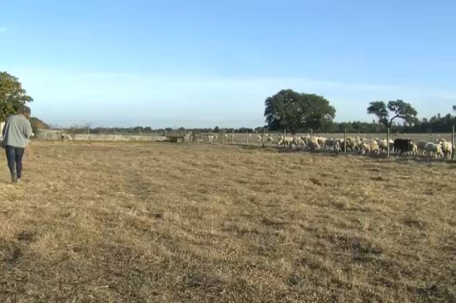 Tráfico de pessoas no Alentejo