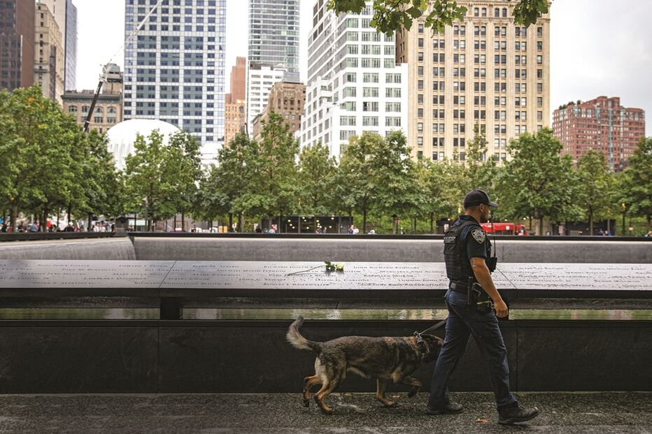 Imagem P32-33 Foto principal acrescentar fundo em baixo.jpg (11198801) (Milenium)