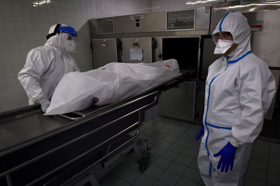 Imagem _NAF9783.jpg (11208869) (Milenium)