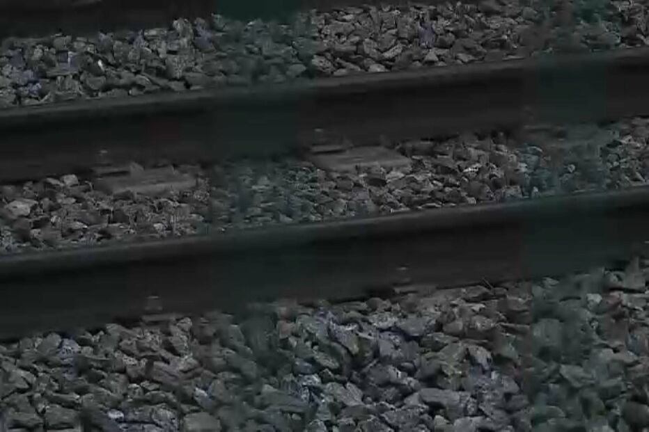 adolescente, colhido, comboio, linha, gaia