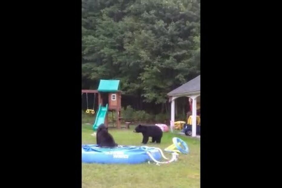 Imagem Mundo Louco 1.jpg (11278988) (Milenium)