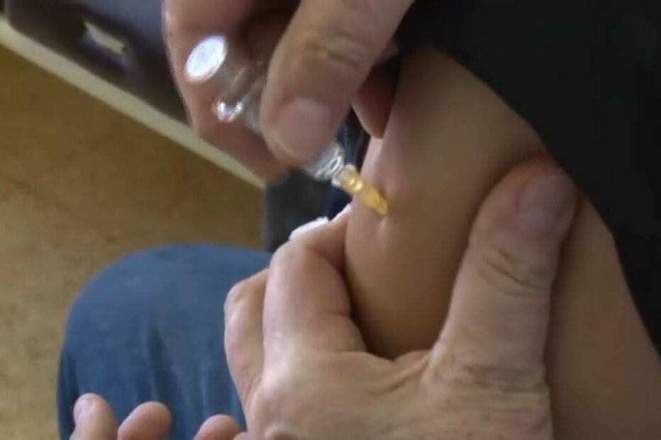 Gripe deve regressar em força no outono e inverno