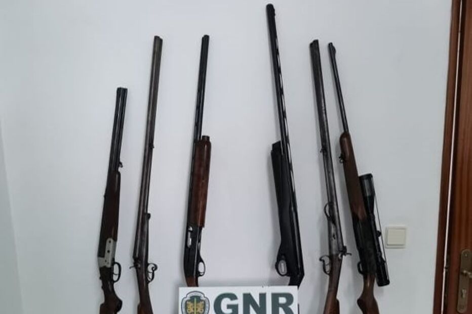 apreensao, armas, gnr