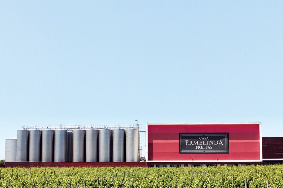 2021-09-24_12_08_44 CAPA.jpg