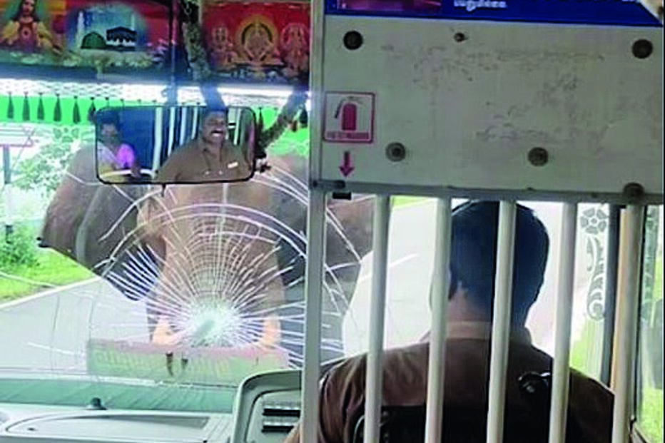 Elefante zangado ataca autocarro 