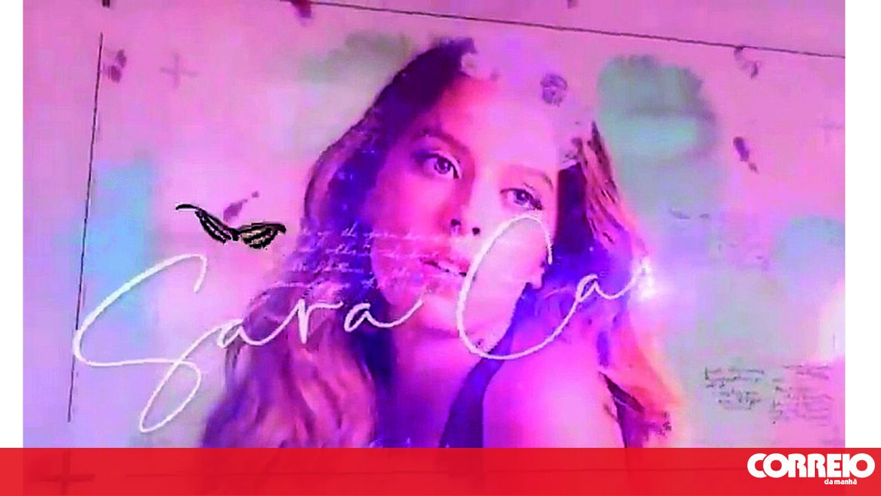 Sara Carreira Association sets up collection points to help storm victims