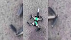 Pombo preso em cabo de alta tensão é salvo com recurso a drone com x-ato