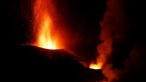 Vulcão de La Palma mantém uma atividade intensa um mês depois da primeira erupção