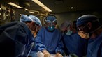 Primeiro transplante de rim de porco em paciente humano realizado com sucesso