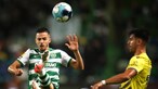 Sporting procura triunfo em Guimarães para colocar pressão no líder FC Porto
