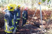 Cão resgatado em Santo Tirso