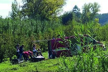 bombeiros, bombarral, operação de socorro