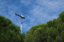 Incêndio no Parque Natural da Arrábida mobiliza 80 bombeiros