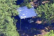 Imagem PETITO.JPG (11660924) (Milenium)