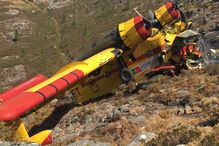 Imagem IMG-1856.JPG (11717968) (Milenium)