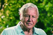 Imagem David Attenborough,  40170927.jpg (11729657) (Milenium)